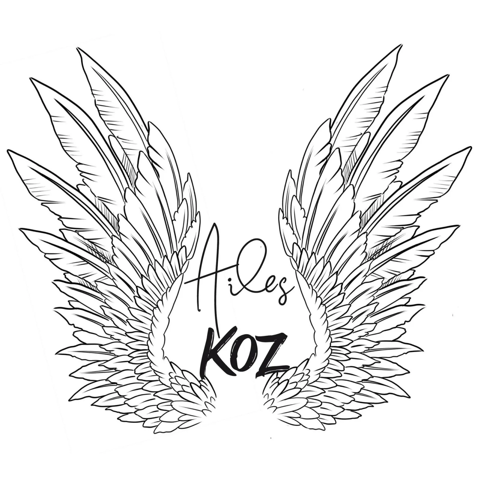 Association Ailes Koz