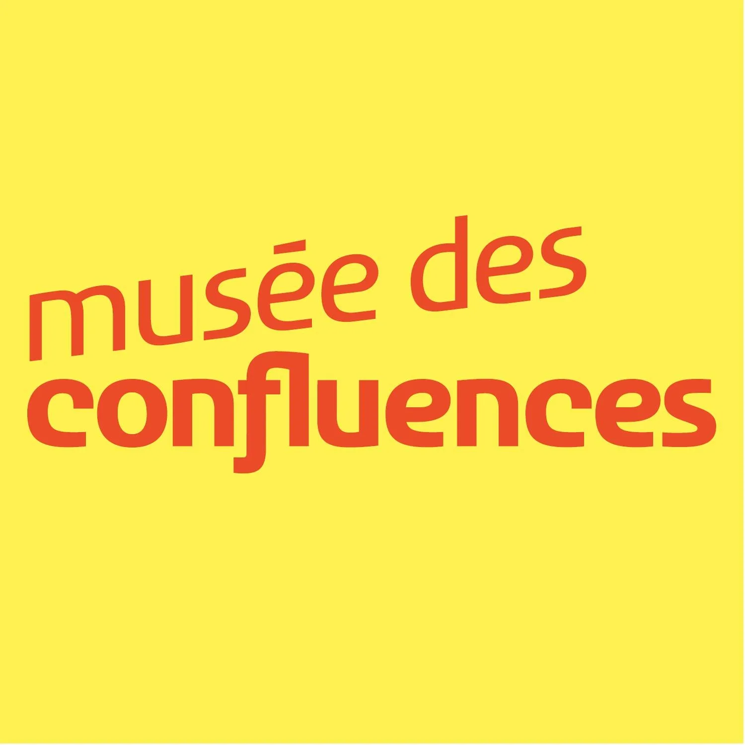 MUSEE DES CONFLUENCES